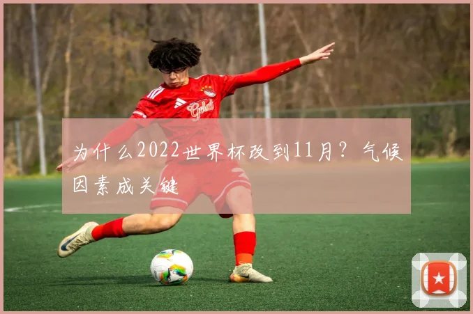 为什么2022世界杯改到11月？气候因素成关键