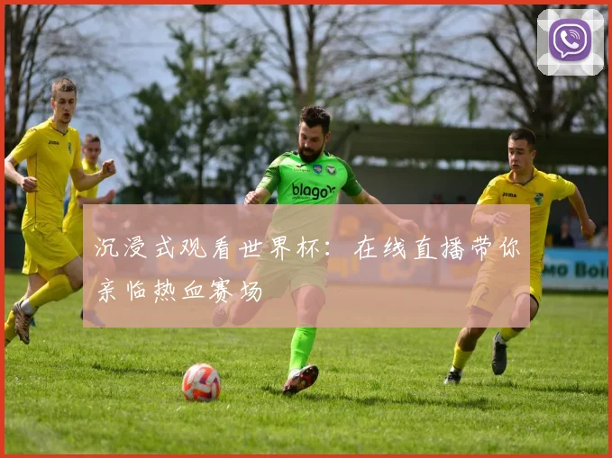 沉浸式观看世界杯：在线直播带你亲临热血赛场