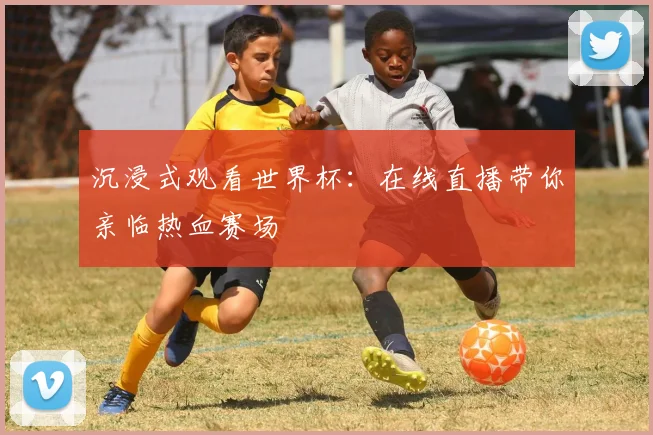 沉浸式观看世界杯：在线直播带你亲临热血赛场